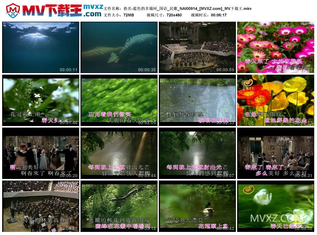 佚名-蓝色的多瑙河_国语_民歌_NAI00914